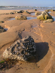 Stone on the beach