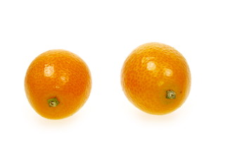 fortunella kumquats