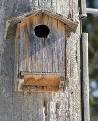 Homemade Birdhouse