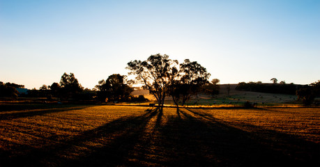 Farm Sunset Shadows