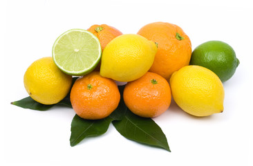 Citrus fruit isolated on white