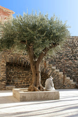 Grand-mère place du village