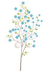 blooming spring tree