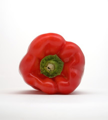 red bell pepper capsicum