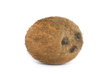  coconut