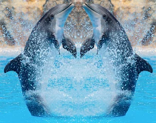 Fotobehang Dolfijn Dolfijnen springen