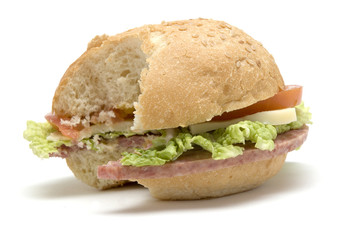 bitten hamburger