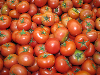 tomatoes