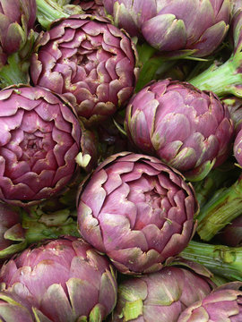 carciofi romaneschi
