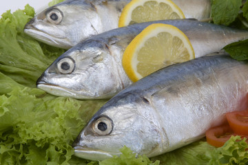Fischgericht