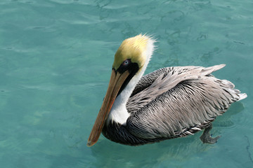 Posing for the camera