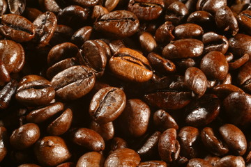café en grain