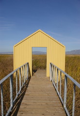 Yellow house pane open to the wild nature