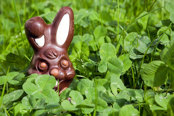 easter chocolate rabbit