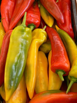 peperoni colorati