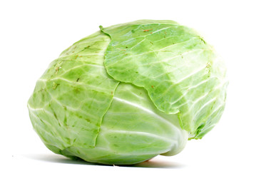 Fototapeta premium Cabbage