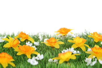 Obraz premium Herbe avec fleur jaune