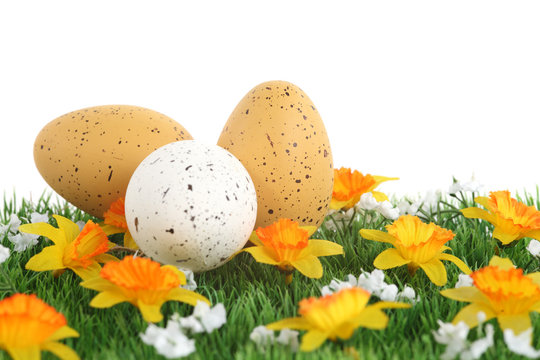 Oeufs de P&acirc;ques dans l'herbe