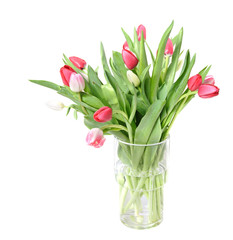 bunch of pink, white and red tulips in a glass vase, isolated on