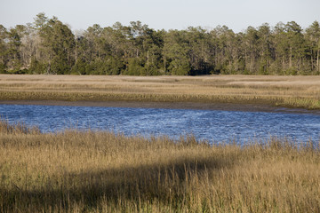 River Marsh
