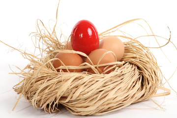 Nid et Oeufs de Pâques