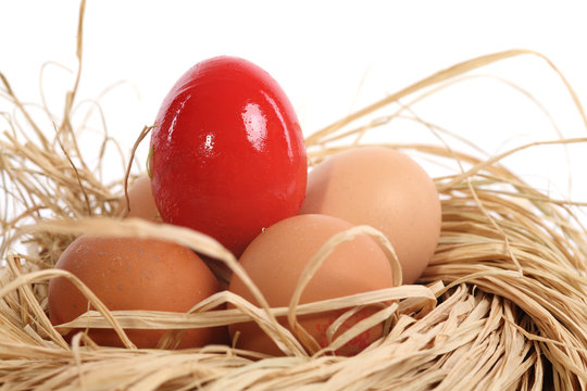 Nid et Oeufs de P&acirc;ques