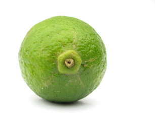 Lime green isolated on white