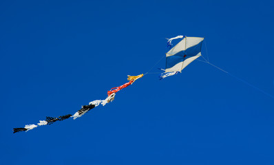 Kite in blue sky