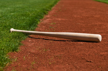 Baseball Bat