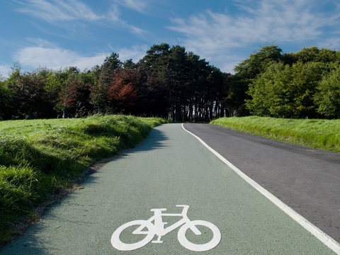 Scenic cycle track in Phoenix Park in Dublin 