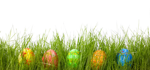Fototapeta premium Easter eggs in fresh green grass