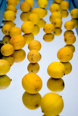 citrons sur glace