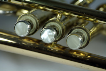 trumpet's buttons