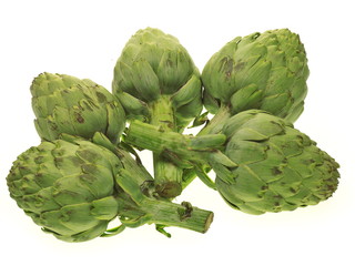 Obraz premium artischocken