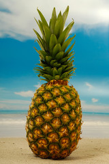 Pineapple on an exotic beach with blue and cloudy sky