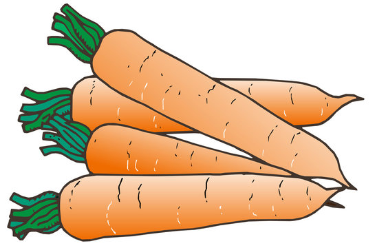 orange carrots with green tops on white clip art preview