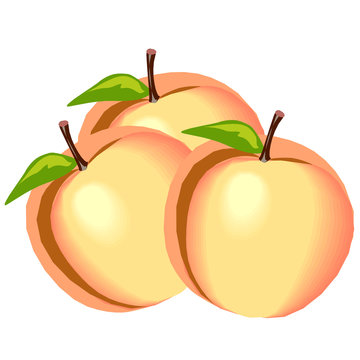 three ripe peaches with green leaves clip art preview