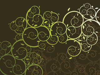 ornamental curly vine pattern