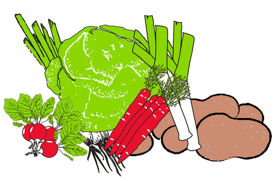 colorful vegetables, green, red, brown, white clip art preview