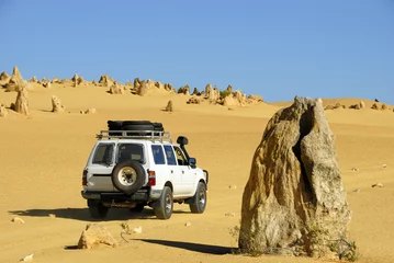 Foto op Plexiglas Vierwielaandrijving in de Pinnacles-woestijn, Australië © robepco