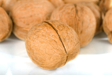 walnut