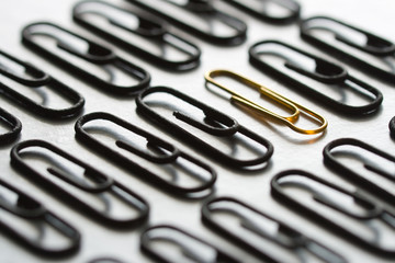 rows paper office clips