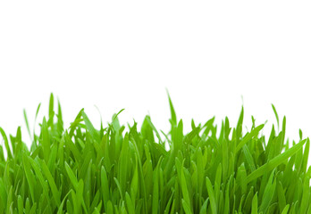Obraz premium Green glass isolated on the white background
