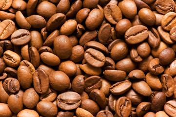 Close up of freshly roasted coffee beans