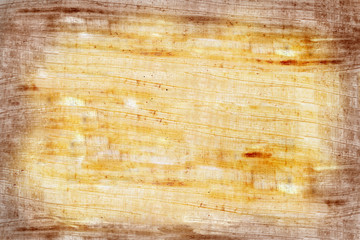 Papyrus