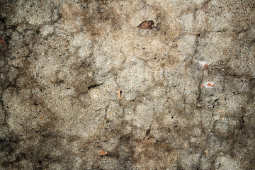 Grunge texture of old wall