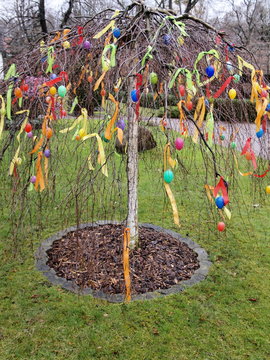 Ostereierbaum - Brauch