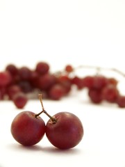 Red Grapes on White, Vertical