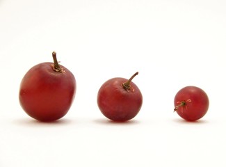 Three sizes of grapes on white