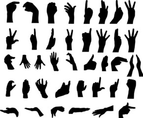 Gestures of hands. The big collection.